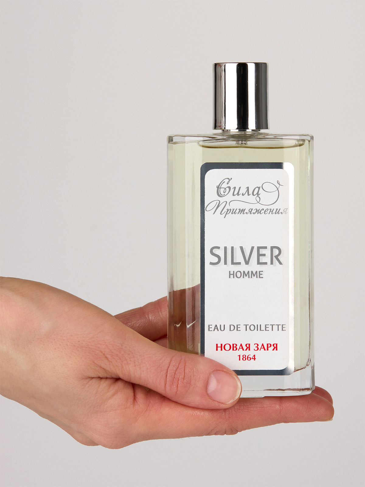 Туалетная вода мужская Серебро Silver 100мл в футляре от Новая заря + 2
