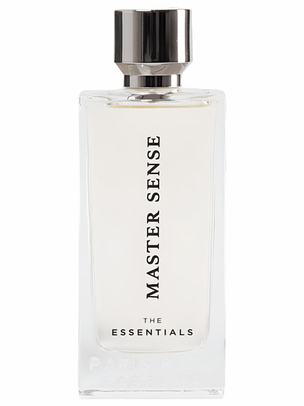 Парфюмерная вода мужская The Essentials Master Sense 100мл от Paris Blue + 1