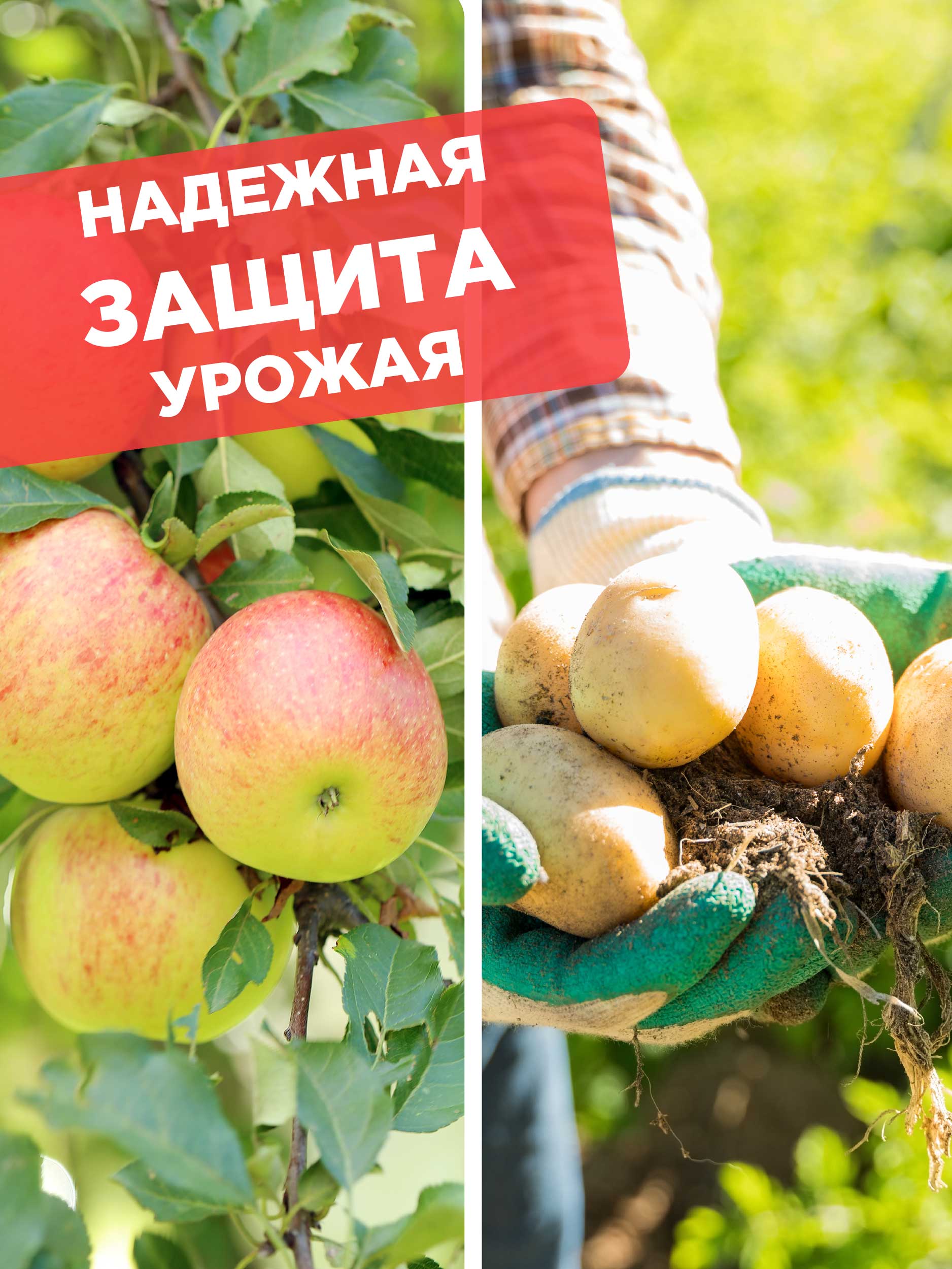Аккорд Средство от вредителей 1мл ампула от Joy + 2