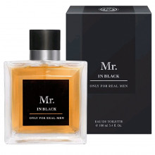 Mr. in Black Туалетная вода мужская 100мл