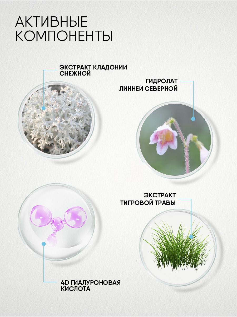 Lab Biome Сплэш-маска для лица Aqua Boost 100мл от Natura Siberica + 3