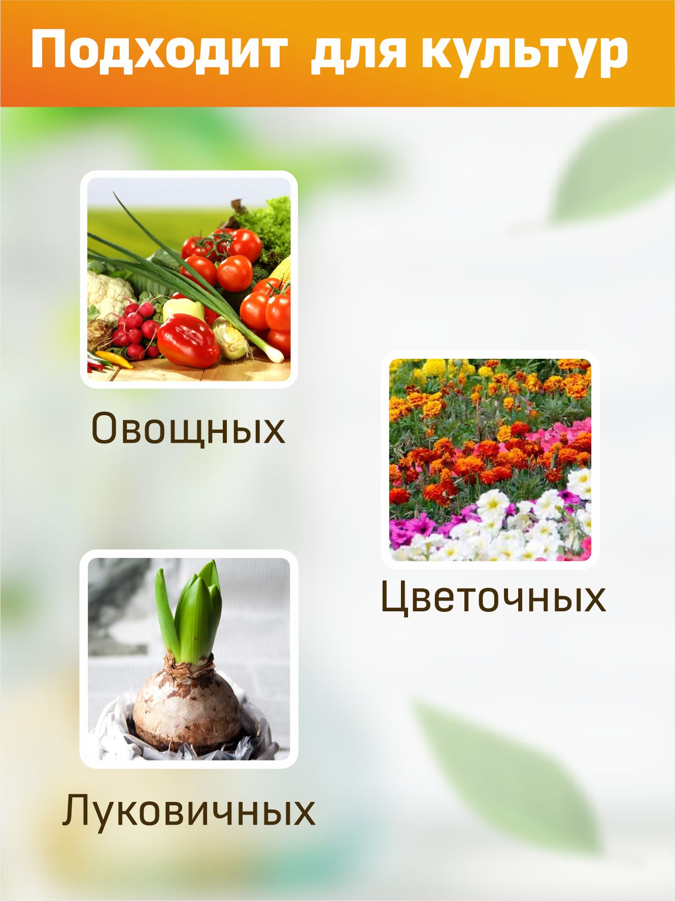 Активатор роста и развития Для рассады 2 таблетки от Joy + 2