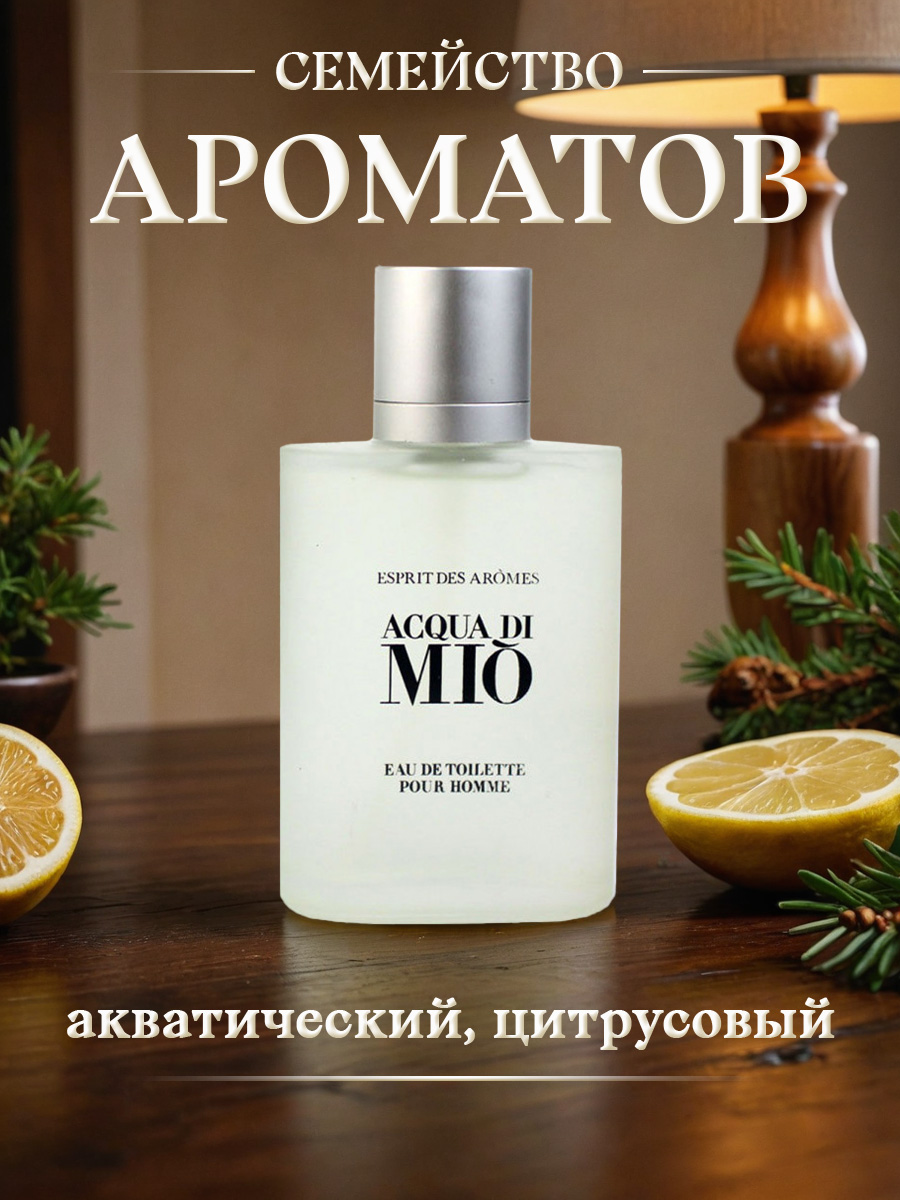 Туалетная вода мужская Моя вода Acqua di Mio 100мл  от Новая заря + 6