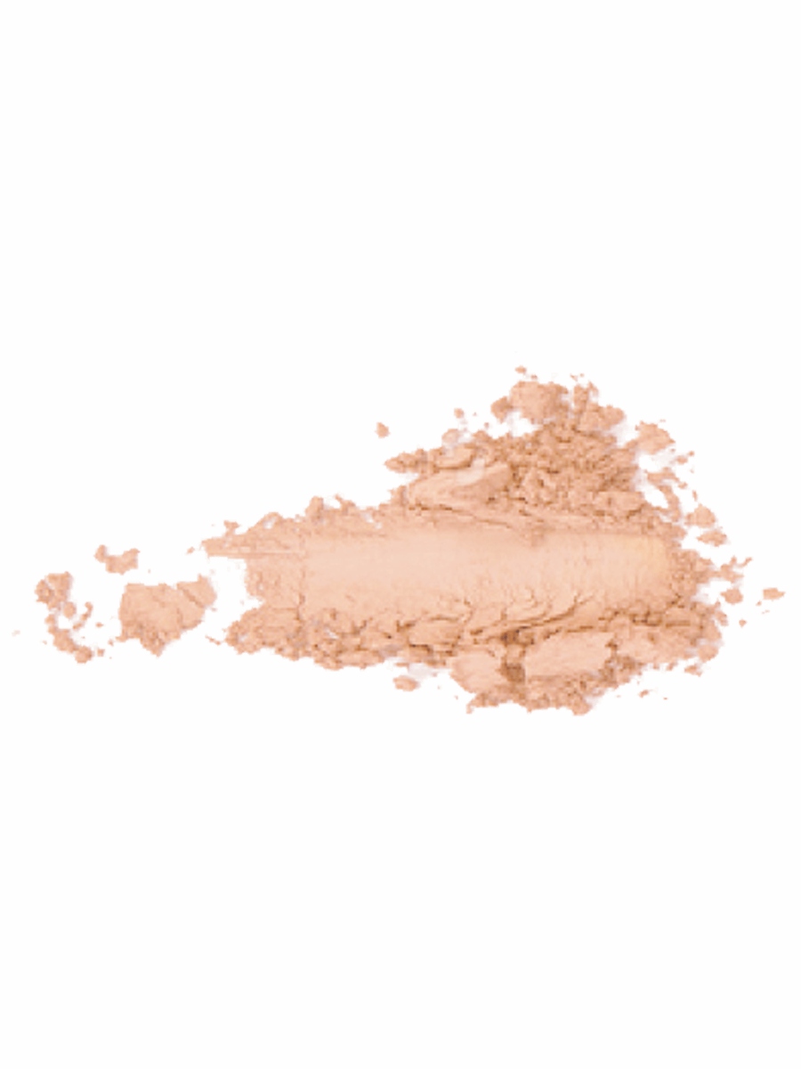 Пудра компактная Instyle Wet & Dry Powder, тон 004 Ivory от TopFace + 2