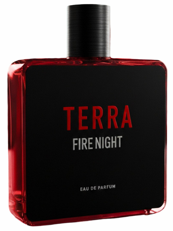 Парфюмерная вода мужская Terra Fire Night 100мл от Geparlys + 1