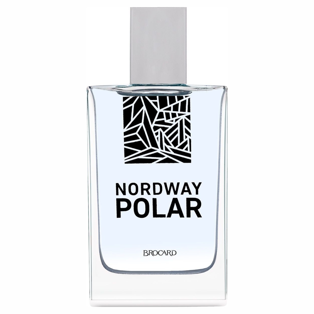 Туалетная вода мужская Nordway Polar 100мл  от Brocard + 2