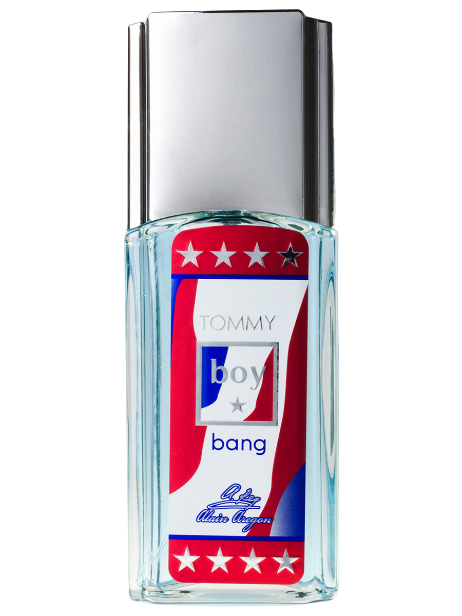 Туалетная вода мужская Tommy Boy Bang 95мл от Alain Aregon + 2