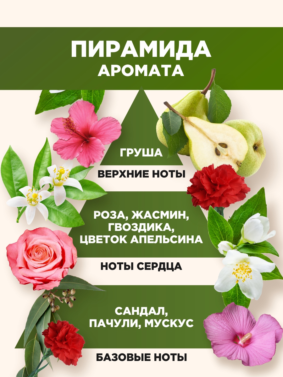 Освежитель воздуха Свежесть Спа 300мл  от Master Fresh + 2